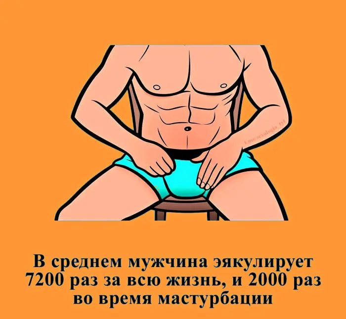 Сексуальная правда: 15 фактов, которым не научат в школе #466