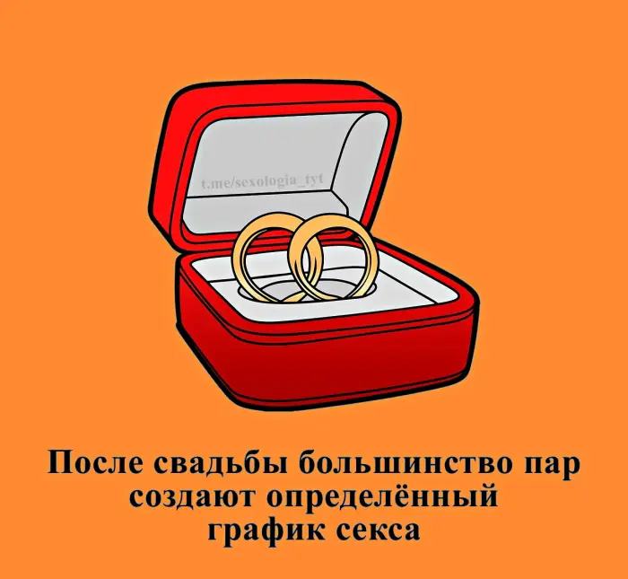 Сексуальная правда: 15 фактов, которым не научат в школе #473