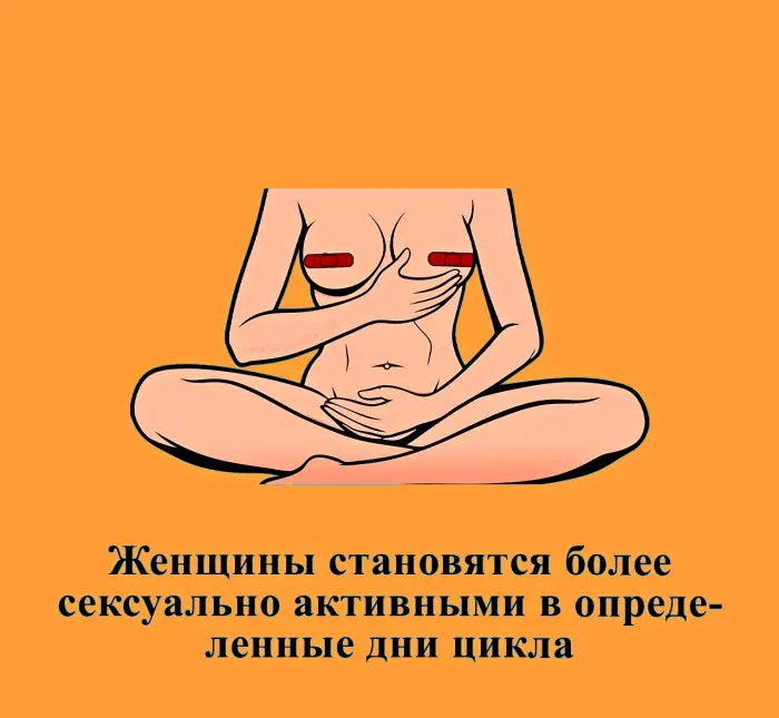 Сексуальная правда: 15 фактов, которым не научат в школе #474