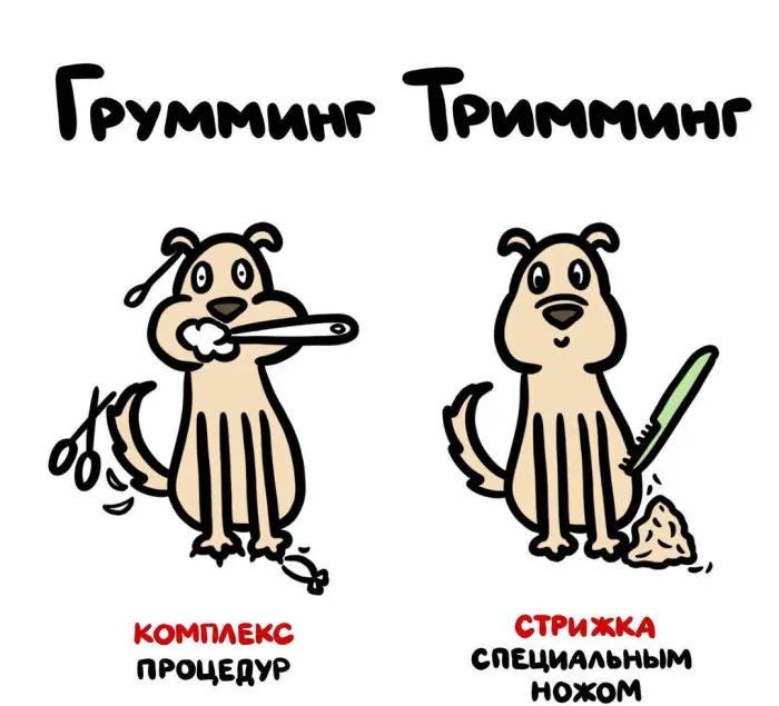Слова, которые часто путают: в чём разница #100
