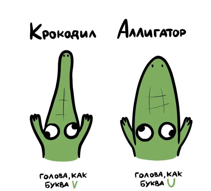 Слова, которые часто путают: в чём разница #101