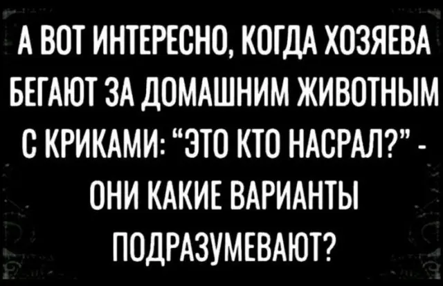 Смешно и без лишних слов: новая подборка