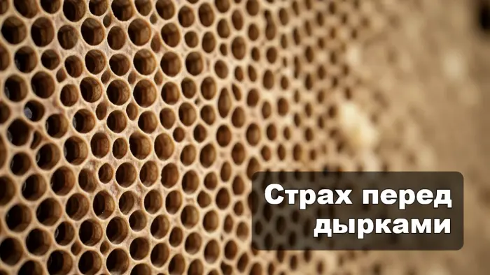 Трипофобия, почему скопления отверстий пугают некоторых людей