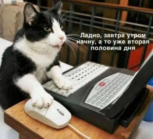 Тут серьёзным быть категорически запрещено