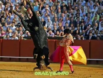 >>Click to zoom image<<