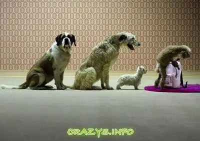 >>Click to zoom image<<