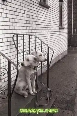 >>Click to zoom image<<