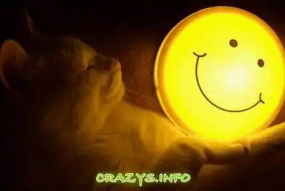 >>Click to zoom image<<