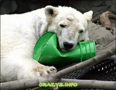 >>Click to zoom image<<