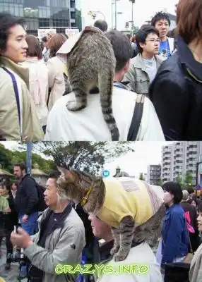 >>Click to zoom image<<