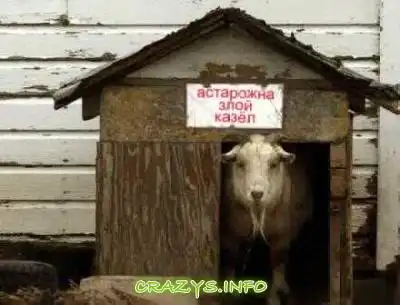 >>Click to zoom image<<