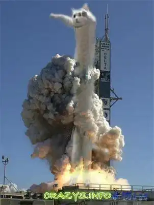 >>Click to zoom image<<