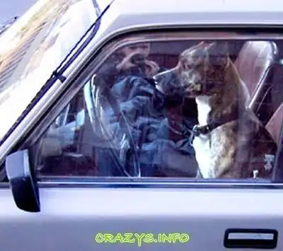 >>Click to zoom image<<