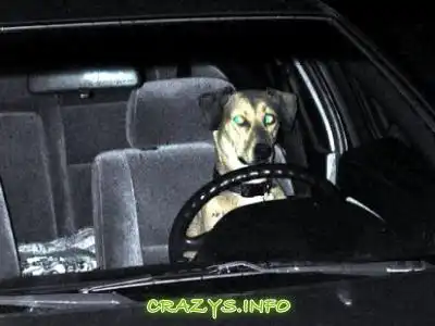 >>Click to zoom image<<