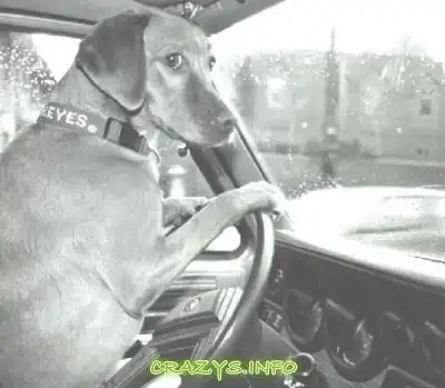 >>Click to zoom image<<