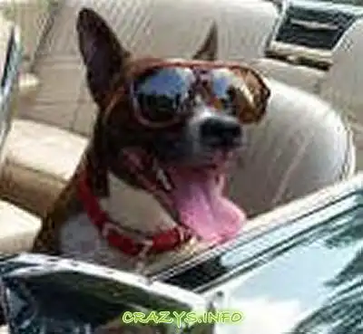 >>Click to zoom image<<