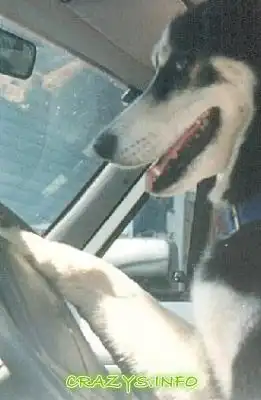 >>Click to zoom image<<