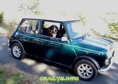 >>Click to zoom image<<