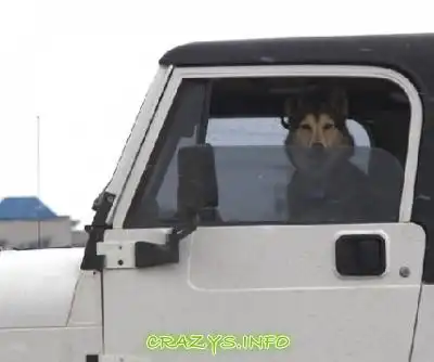 >>Click to zoom image<<