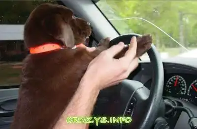 >>Click to zoom image<<