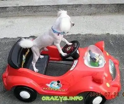 >>Click to zoom image<<