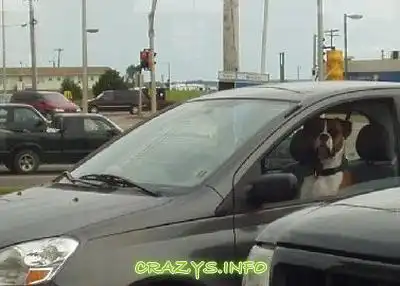 >>Click to zoom image<<