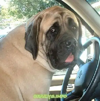 >>Click to zoom image<<