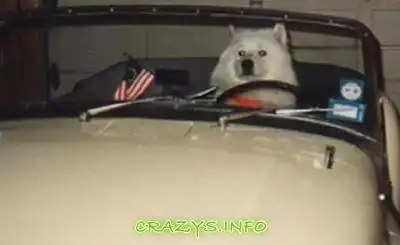 >>Click to zoom image<<