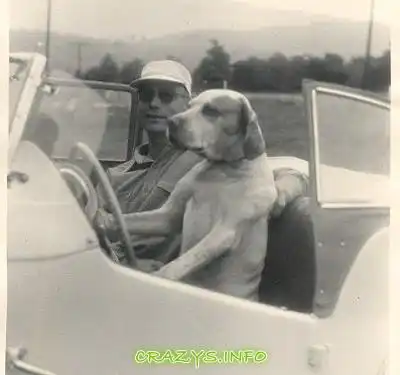 >>Click to zoom image<<