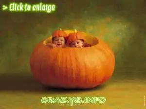 &gt;&gt;Click to zoom to high quality image&lt;&lt;