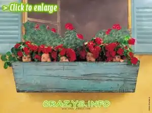 &gt;&gt;Click to zoom to high quality image&lt;&lt;