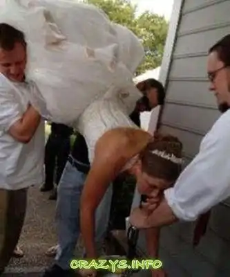 >>Click to zoom image<<