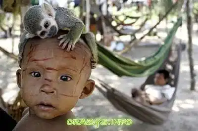 >>Click to zoom image<<