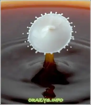 &gt;&gt;Click to zoom image&lt;&lt;