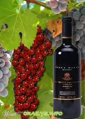 >>Click to zoom image<<