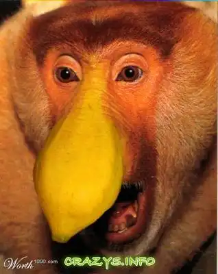 >>Click to zoom image<<