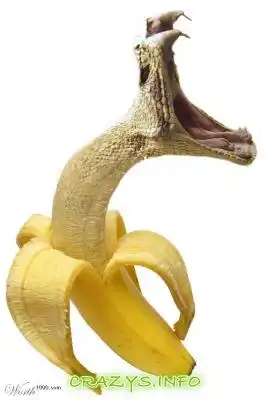 >>Click to zoom image<<