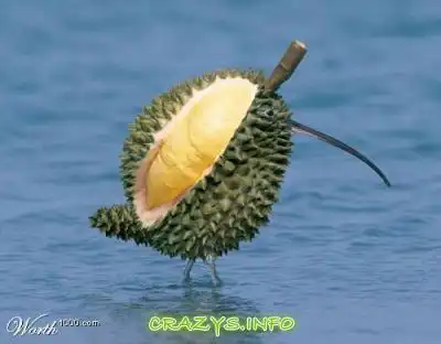 >>Click to zoom image<<