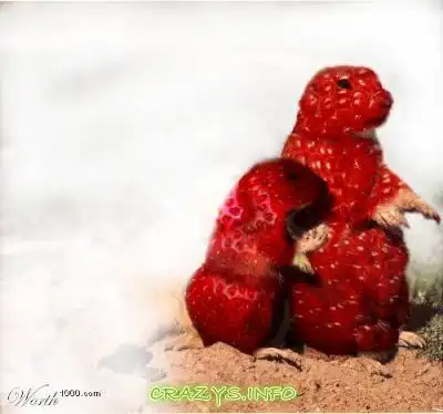 >>Click to zoom image<<