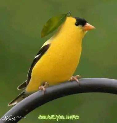 >>Click to zoom image<<