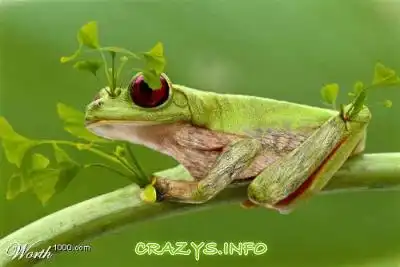 >>Click to zoom image<<