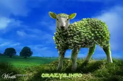 >>Click to zoom image<<