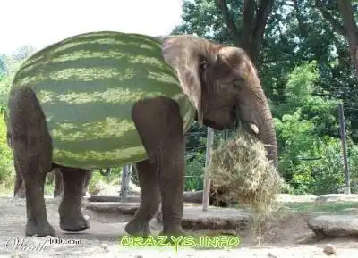 >>Click to zoom image<<