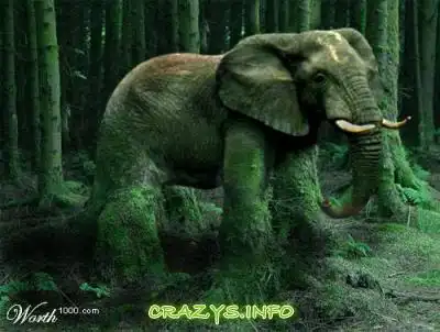 >>Click to zoom image<<