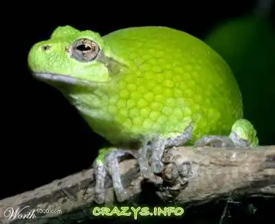 >>Click to zoom image<<