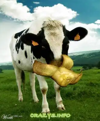 >>Click to zoom image<<