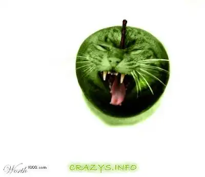 >>Click to zoom image<<