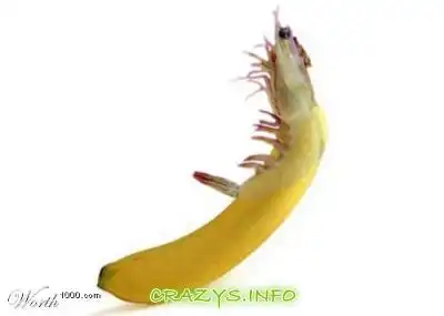 >>Click to zoom image<<