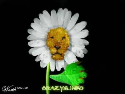 >>Click to zoom image<<