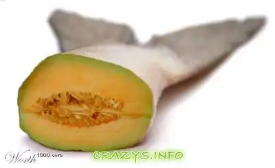 >>Click to zoom image<<